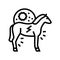 encephalitis horse line icon vector illustration
