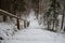 Enchanted Ascent: Snow-Dusted Wooden Stairs in Latvian Snowy Forests