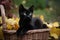 Enchanted Black Kitten in a Mystical Wicker Basket (AI Generated)