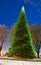 Enchanted Christmas Tree