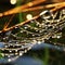 Enchanted Dewdrops: A magical macro capture of dewdrops on the tips of a spider's web