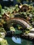 Enchanted Dreams: A Little Cottage in Fairyland with a Miniature