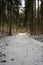 Enchanted Drifts: Sunbeams Grace Tranquil Snow-Clad Forest Highways. Pokainu Mezs, Latvija