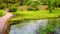 Enchanted eden garden bridge over pond in horizontal panning garden