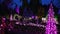 Enchanted Evening Garden with Colorful Holiday Lights Display