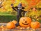 Enchanted Fall Haven: Backyard Foliage and Halloween Magic