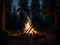 Enchanted forest campfire