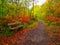 Enchanted forest corner with  relaxing bench