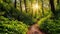 Enchanted Forest Path, Follow a winding path through an enchanted forest Sunlight peeks through the dense foliage