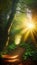 Enchanted Forest Path with Sunlight Peeking Through Foliage