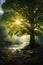 Enchanted Forest: A Serene Sunrise Amongst the Forbidden Trees a