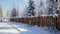 Enchanted Frost: A Glimpse of Winter Forest Through a Wooden Fence - Generative AI