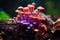 Enchanted Fungi: Up Close and Personal