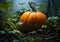 Enchanted Glow: A Hauntingly Beautiful Pumpkin in the Misty Fore