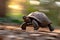 Enchanted Journey: Whimsical Turtle Speeding Through Lush Forest. Generative ai