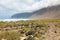 Enchanted landscape on Lanzarote Islands with stone and green yellow vegetation with Atlantic Ocean