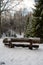 Enchanted Rest: Snowy Seat Amidst the Fir Forests of Latvija