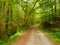 Enchanted Road of Coopers Furnace