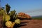 Enchanted Rock