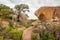 Enchanted Rock State Park