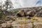 Enchanted Rock Texas