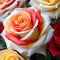 Enchanted Roses: Multicolored Blooms Creating Valentine Magic