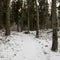 Enchanted Trails: Navigating Snow-Clad Woods, A Serene Path Through Pokainu Mezs, Dobele, Latvija