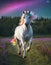 Enchanted Unicorn in Twilight Field