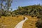 Enchanted Walk track in Cradle Mountain - Lake St Clair National Park in Tasmania, ustralia.