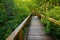 Enchanted Wooden Path