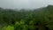 Enchanting Aftermath: Aerial View of the Mystical Forest Blanketed in Clouds, Capturing the Dramatic Hues After the Rain