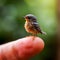 Enchanting AI-Generated Macro: Tiny Bird Perched on a Finger