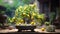 the enchanting allure of a bonsai lemon tree