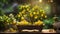 the enchanting allure of a bonsai lemon tree