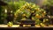 the enchanting allure of a bonsai lemon tree