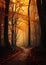 Enchanting Autumn: A Dreamy Journey Through the Forest\\\'s Golden