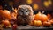 Enchanting Autumn Forest Background with Baby Owl AI Generated