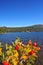 Enchanting autumn lake scene in san martin de los andes and lolog lake views. Colorful autumn scene of the andes