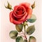 Enchanting Blooms - Realistic Red Rose Watercolor Illustration for Storybooks