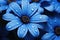 Enchanting Blue daisy blossom. Generate Ai