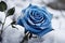 Enchanting Blue rose field in snow. Generate Ai