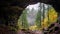 Enchanting Cave With Lush Trees: A Captivating British Landscape