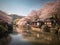 Enchanting Cherry Blossoms in Kyoto