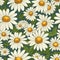 Enchanting Daisy Breeze Floral Art