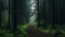 Enchanting Dark Green Forest Trail: Detailed Atmospheric Portraits