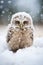 Enchanting Encounter: A Portrait of an Innocent Snow Owl in the