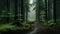 Enchanting European Forest: A Dark And Serene Wilderness