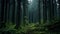 Enchanting European Forest: A Dark, Spooky Haven Of Green And Emerald