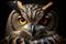 Enchanting Eyes: Captivating High-Resolution Photography of a Beautiful Halloween Owl on a Dark Background. created with