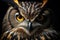 Enchanting Eyes: Captivating High-Resolution Photography of a Beautiful Halloween Owl on a Dark Background. created with